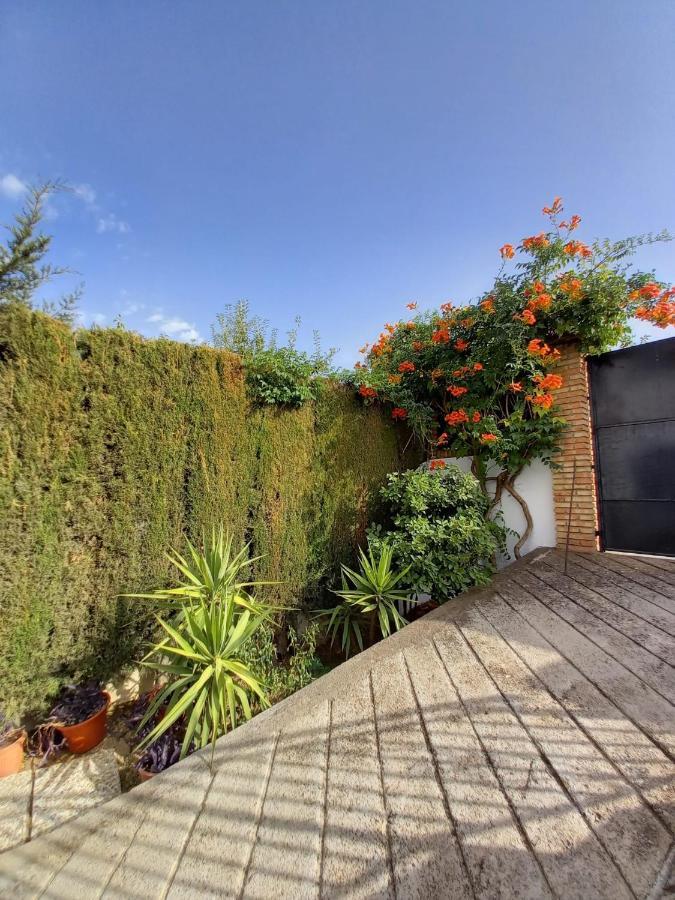 הוילה Belicena Casa Rural Xauen מראה חיצוני תמונה